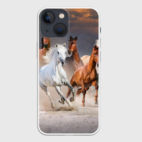 Чехол для iPhone 13 mini с принтом Табун в Белгороде,  |  | animal | beautiful | black | brown | desert | gloss | herd | horse | mane | mustang | muzzle | nature | sand | white | wild | белый | грива | дикий | животное | конь | коричневый | красивый | лоск | лошадь | мустанг | песок | природа | пусты