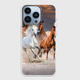 Чехол для iPhone 13 Pro с принтом Табун в Белгороде,  |  | animal | beautiful | black | brown | desert | gloss | herd | horse | mane | mustang | muzzle | nature | sand | white | wild | белый | грива | дикий | животное | конь | коричневый | красивый | лоск | лошадь | мустанг | песок | природа | пусты