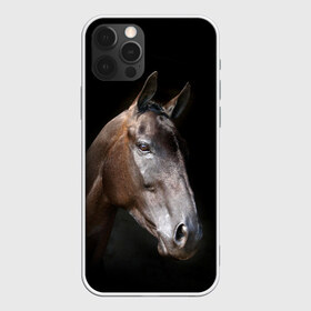 Чехол для iPhone 12 Pro Max с принтом Лошадь в Белгороде, Силикон |  | animal | beautiful | black | brown | horse | muzzle | portrait | животное | конь | коричневый | красивый | лошадь | портрет | скакун | черный