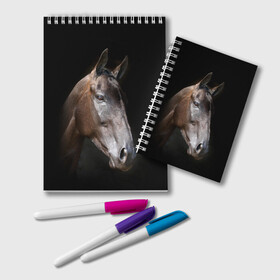Блокнот с принтом Лошадь в Белгороде, 100% бумага | 48 листов, плотность листов — 60 г/м2, плотность картонной обложки — 250 г/м2. Листы скреплены удобной пружинной спиралью. Цвет линий — светло-серый
 | animal | beautiful | black | brown | horse | muzzle | portrait | животное | конь | коричневый | красивый | лошадь | портрет | скакун | черный
