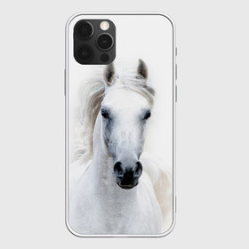 Чехол для iPhone 12 Pro Max с принтом Белая лошадь в Белгороде, Силикон |  | animal | beautiful | gloss | horse | mane | mustang | muzzle | white | wild | белый | грива | дикий | животное | конь | красивый | лоск | лошадь | мустанг | скакун