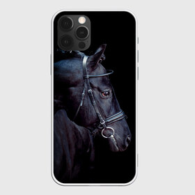 Чехол для iPhone 12 Pro Max с принтом Конь вороной в Белгороде, Силикон |  | animal | beautiful | black | eyes | gloss | hairstyle | harness | horse | look | muzzle | взгляд | вороной | глаза | животное | конь | красивый | лоск | лошадь | прическа | сбруя | скакун | черный