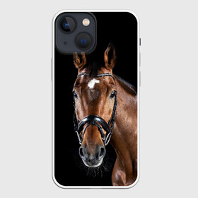 Чехол для iPhone 13 mini с принтом Гнедая лошадь в Белгороде,  |  | animal | beautiful | black | brown | eyes | gloss | harness | horse | look | muzzle | взгляд | глаза | гнедая | животное | конь | коричневый | красивый | лоск | лошадь | сбруя | скакун | черный