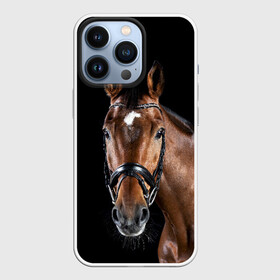 Чехол для iPhone 13 Pro с принтом Гнедая лошадь в Белгороде,  |  | animal | beautiful | black | brown | eyes | gloss | harness | horse | look | muzzle | взгляд | глаза | гнедая | животное | конь | коричневый | красивый | лоск | лошадь | сбруя | скакун | черный