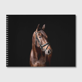 Альбом для рисования с принтом Гнедая лошадь в Белгороде, 100% бумага
 | матовая бумага, плотность 200 мг. | Тематика изображения на принте: animal | beautiful | black | brown | eyes | gloss | harness | horse | look | muzzle | взгляд | глаза | гнедая | животное | конь | коричневый | красивый | лоск | лошадь | сбруя | скакун | черный