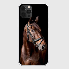Чехол для iPhone 12 Pro Max с принтом Гнедая лошадь в Белгороде, Силикон |  | animal | beautiful | black | brown | eyes | gloss | harness | horse | look | muzzle | взгляд | глаза | гнедая | животное | конь | коричневый | красивый | лоск | лошадь | сбруя | скакун | черный