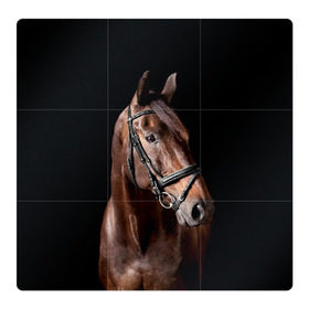 Магнитный плакат 3Х3 с принтом Гнедая лошадь в Белгороде, Полимерный материал с магнитным слоем | 9 деталей размером 9*9 см | animal | beautiful | black | brown | eyes | gloss | harness | horse | look | muzzle | взгляд | глаза | гнедая | животное | конь | коричневый | красивый | лоск | лошадь | сбруя | скакун | черный