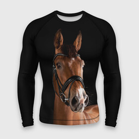 Мужской рашгард 3D с принтом Гнедая лошадь в Белгороде,  |  | animal | beautiful | black | brown | eyes | gloss | harness | horse | look | muzzle | взгляд | глаза | гнедая | животное | конь | коричневый | красивый | лоск | лошадь | сбруя | скакун | черный