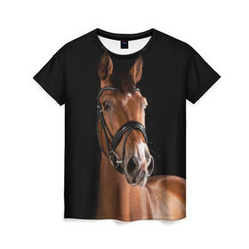 Женская футболка 3D с принтом Гнедая лошадь в Белгороде, 100% полиэфир ( синтетическое хлопкоподобное полотно) | прямой крой, круглый вырез горловины, длина до линии бедер | animal | beautiful | black | brown | eyes | gloss | harness | horse | look | muzzle | взгляд | глаза | гнедая | животное | конь | коричневый | красивый | лоск | лошадь | сбруя | скакун | черный