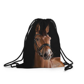 Рюкзак-мешок 3D с принтом Гнедая лошадь в Белгороде, 100% полиэстер | плотность ткани — 200 г/м2, размер — 35 х 45 см; лямки — толстые шнурки, застежка на шнуровке, без карманов и подкладки | Тематика изображения на принте: animal | beautiful | black | brown | eyes | gloss | harness | horse | look | muzzle | взгляд | глаза | гнедая | животное | конь | коричневый | красивый | лоск | лошадь | сбруя | скакун | черный