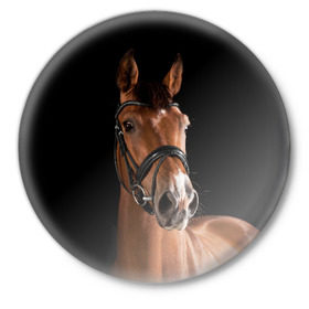 Значок с принтом Гнедая лошадь в Белгороде,  металл | круглая форма, металлическая застежка в виде булавки | animal | beautiful | black | brown | eyes | gloss | harness | horse | look | muzzle | взгляд | глаза | гнедая | животное | конь | коричневый | красивый | лоск | лошадь | сбруя | скакун | черный