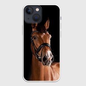 Чехол для iPhone 13 mini с принтом Гнедая лошадь в Белгороде,  |  | animal | beautiful | black | brown | eyes | gloss | harness | horse | look | muzzle | взгляд | глаза | гнедая | животное | конь | коричневый | красивый | лоск | лошадь | сбруя | скакун | черный