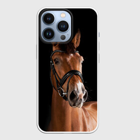 Чехол для iPhone 13 Pro с принтом Гнедая лошадь в Белгороде,  |  | animal | beautiful | black | brown | eyes | gloss | harness | horse | look | muzzle | взгляд | глаза | гнедая | животное | конь | коричневый | красивый | лоск | лошадь | сбруя | скакун | черный