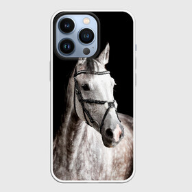 Чехол для iPhone 13 Pro с принтом Серный в яблоках конь в Белгороде,  |  | animal | beautiful | black | eyes | gloss | harness | horse | look | muzzle | spotted | white | белый | в яблоках | взгляд | глаза | животное | конь | красивый | лоск | лошадь | пятнистый | сбруя | серый | скакун | черный