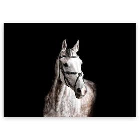 Поздравительная открытка с принтом Серный в яблоках конь в Белгороде, 100% бумага | плотность бумаги 280 г/м2, матовая, на обратной стороне линовка и место для марки
 | Тематика изображения на принте: animal | beautiful | black | eyes | gloss | harness | horse | look | muzzle | spotted | white | белый | в яблоках | взгляд | глаза | животное | конь | красивый | лоск | лошадь | пятнистый | сбруя | серый | скакун | черный