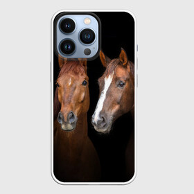 Чехол для iPhone 13 Pro с принтом Лошади гнедые в Белгороде,  |  | animal | beautiful | black | brown | coffee | couple | eyes | gloss | horse | look | muzzle | взгляд | глаза | гнедые | животное | конь | коричневый | кофейный | красивый | лоск | лошади | пара | скакун | черный