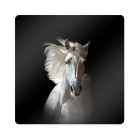 Магнит виниловый Квадрат с принтом Белая лошадь в Белгороде, полимерный материал с магнитным слоем | размер 9*9 см, закругленные углы | Тематика изображения на принте: animal | beautiful | black | eyes | gloss | grace | harness | horse | look | mane | muzzle | strength | white | белая | взгляд | глаза | грация | грива | животное | конь | красивый | лоск | лошадь | сбруя | сила | скакун
