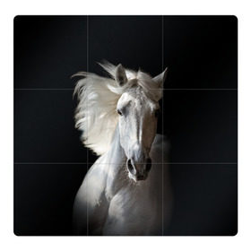Магнитный плакат 3Х3 с принтом Белая лошадь в Белгороде, Полимерный материал с магнитным слоем | 9 деталей размером 9*9 см | Тематика изображения на принте: animal | beautiful | black | eyes | gloss | grace | harness | horse | look | mane | muzzle | strength | white | белая | взгляд | глаза | грация | грива | животное | конь | красивый | лоск | лошадь | сбруя | сила | скакун