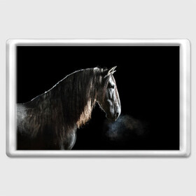Магнит 45*70 с принтом Серный в яблоках конь в Белгороде, Пластик | Размер: 78*52 мм; Размер печати: 70*45 | animal | beautiful | black | eyes | gloss | harness | horse | look | muzzle | portrait | в яблоках | взгляд | глаза | животное | конь | красивый | лоск | лошадь | портрет | сбруя | серый | скакун