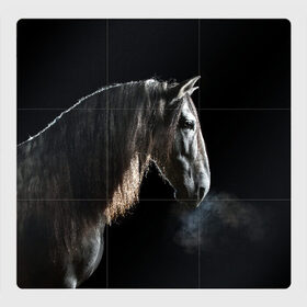Магнитный плакат 3Х3 с принтом Серный в яблоках конь в Белгороде, Полимерный материал с магнитным слоем | 9 деталей размером 9*9 см | Тематика изображения на принте: animal | beautiful | black | eyes | gloss | harness | horse | look | muzzle | portrait | в яблоках | взгляд | глаза | животное | конь | красивый | лоск | лошадь | портрет | сбруя | серый | скакун