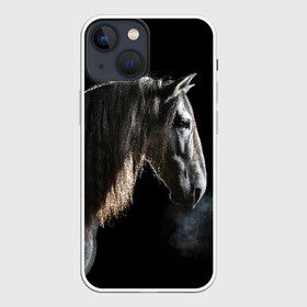 Чехол для iPhone 13 mini с принтом Серный в яблоках конь в Белгороде,  |  | animal | beautiful | black | eyes | gloss | harness | horse | look | muzzle | portrait | в яблоках | взгляд | глаза | животное | конь | красивый | лоск | лошадь | портрет | сбруя | серый | скакун
