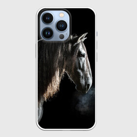 Чехол для iPhone 13 Pro с принтом Серный в яблоках конь в Белгороде,  |  | animal | beautiful | black | eyes | gloss | harness | horse | look | muzzle | portrait | в яблоках | взгляд | глаза | животное | конь | красивый | лоск | лошадь | портрет | сбруя | серый | скакун
