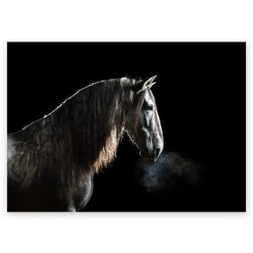 Поздравительная открытка с принтом Серный в яблоках конь в Белгороде, 100% бумага | плотность бумаги 280 г/м2, матовая, на обратной стороне линовка и место для марки
 | animal | beautiful | black | eyes | gloss | harness | horse | look | muzzle | portrait | в яблоках | взгляд | глаза | животное | конь | красивый | лоск | лошадь | портрет | сбруя | серый | скакун