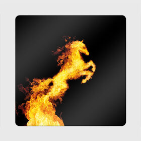 Магнит виниловый Квадрат с принтом Огненный конь в Белгороде, полимерный материал с магнитным слоем | размер 9*9 см, закругленные углы | animal | beautiful | black | fiery | fire | horse | mane | wild | грива | дикий | животное | конь | красивый | лошадь | огненный | огонь | скакун | черный