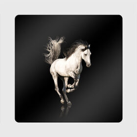 Магнит виниловый Квадрат с принтом Серный в яблоках конь в Белгороде, полимерный материал с магнитным слоем | размер 9*9 см, закругленные углы | animal | beautiful | black | gloss | horse | mane | mustang | muzzle | white | wild | белый | в яблоках | грива | дикий | животное | конь | красивый | лоск | лошадь | мустанг | серый | скакун | черный