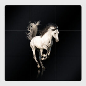 Магнитный плакат 3Х3 с принтом Серный в яблоках конь в Белгороде, Полимерный материал с магнитным слоем | 9 деталей размером 9*9 см | animal | beautiful | black | gloss | horse | mane | mustang | muzzle | white | wild | белый | в яблоках | грива | дикий | животное | конь | красивый | лоск | лошадь | мустанг | серый | скакун | черный