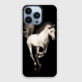 Чехол для iPhone 13 Pro с принтом Серный в яблоках конь в Белгороде,  |  | animal | beautiful | black | gloss | horse | mane | mustang | muzzle | white | wild | белый | в яблоках | грива | дикий | животное | конь | красивый | лоск | лошадь | мустанг | серый | скакун | черный