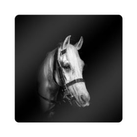 Магнит виниловый Квадрат с принтом Белая лошадь в Белгороде, полимерный материал с магнитным слоем | размер 9*9 см, закругленные углы | Тематика изображения на принте: animal | beautiful | black | eyes | gloss | harness | horse | look | muzzle | white | белый | взгляд | глаза | животное | конь | красивый | лоск | лошадь | сбруя | скакун