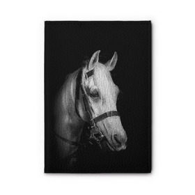 Обложка для автодокументов с принтом Белая лошадь в Белгороде, натуральная кожа |  размер 19,9*13 см; внутри 4 больших “конверта” для документов и один маленький отдел — туда идеально встанут права | Тематика изображения на принте: animal | beautiful | black | eyes | gloss | harness | horse | look | muzzle | white | белый | взгляд | глаза | животное | конь | красивый | лоск | лошадь | сбруя | скакун