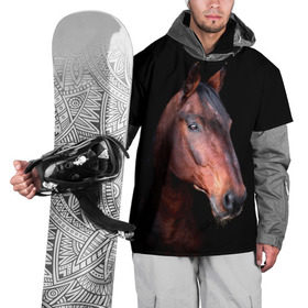 Накидка на куртку 3D с принтом Гнедая лошадь в Белгороде, 100% полиэстер |  | animal | beautiful | black | brown | chocolate | eyes | gloss | horse | look | muzzle | portrait | взгляд | глаза | животное | конь | коричневый | красивый | лоск | лошадь | портрет | скакун | черный | шоколадный