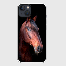 Чехол для iPhone 13 с принтом Гнедая лошадь в Белгороде,  |  | animal | beautiful | black | brown | chocolate | eyes | gloss | horse | look | muzzle | portrait | взгляд | глаза | животное | конь | коричневый | красивый | лоск | лошадь | портрет | скакун | черный | шоколадный