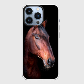 Чехол для iPhone 13 Pro с принтом Гнедая лошадь в Белгороде,  |  | animal | beautiful | black | brown | chocolate | eyes | gloss | horse | look | muzzle | portrait | взгляд | глаза | животное | конь | коричневый | красивый | лоск | лошадь | портрет | скакун | черный | шоколадный