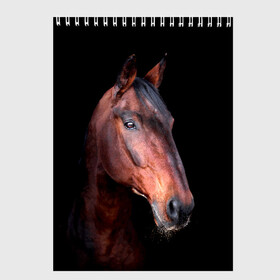 Скетчбук с принтом Гнедая лошадь в Белгороде, 100% бумага
 | 48 листов, плотность листов — 100 г/м2, плотность картонной обложки — 250 г/м2. Листы скреплены сверху удобной пружинной спиралью | Тематика изображения на принте: animal | beautiful | black | brown | chocolate | eyes | gloss | horse | look | muzzle | portrait | взгляд | глаза | животное | конь | коричневый | красивый | лоск | лошадь | портрет | скакун | черный | шоколадный