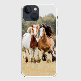 Чехол для iPhone 13 mini с принтом Лошади в Белгороде,  |  | animal | free | horse | mane | nature | pair | polish | wild | грива | дикий | животное | конь | лоск | лошадь | пара | природа | свободный | скакун