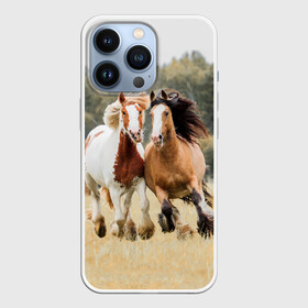 Чехол для iPhone 13 Pro с принтом Лошади в Белгороде,  |  | animal | free | horse | mane | nature | pair | polish | wild | грива | дикий | животное | конь | лоск | лошадь | пара | природа | свободный | скакун