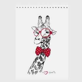 Скетчбук с принтом Жираф в Белгороде, 100% бумага
 | 48 листов, плотность листов — 100 г/м2, плотность картонной обложки — 250 г/м2. Листы скреплены сверху удобной пружинной спиралью | Тематика изображения на принте: animal | bow tie | cool | giraffe | gray | red | white | белый | галстук  бабочка | животное | жираф | красный | очки | прикольный | серый
