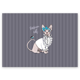 Поздравительная открытка с принтом Fashion cat в Белгороде, 100% бумага | плотность бумаги 280 г/м2, матовая, на обратной стороне линовка и место для марки
 | bird | bow | breed | cat | glamor | look | muzzle | sphinx | style | tail | бант | взгляд | гламур | кошка | порода | птица | стиль | сфинкс | хвост