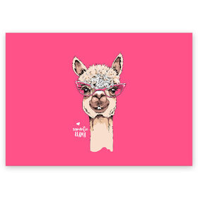Поздравительная открытка с принтом Romantic llama в Белгороде, 100% бумага | плотность бумаги 280 г/м2, матовая, на обратной стороне линовка и место для марки
 | alpaca | animal | cool | flowers | head | heart | inscription | llama | look | pink | romance | альпака | взгляд | голова | животное | лама | любовь | надпись | очки | прикольный | розовые | романтика | сердце | цветы