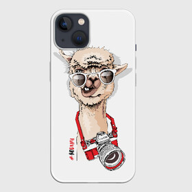 Чехол для iPhone 13 с принтом NoDrama в Белгороде,  |  | alpaca | animal | camera | cool | drama | hashtag | head | inscription | llama | look | nodrama | photographer | альпака | взгляд | голова | драма | животное | камера | лама | надпись | очки | прикольный | фотоаппарат | фотограф | хэштег