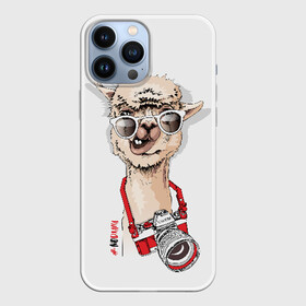 Чехол для iPhone 13 Pro Max с принтом NoDrama в Белгороде,  |  | alpaca | animal | camera | cool | drama | hashtag | head | inscription | llama | look | nodrama | photographer | альпака | взгляд | голова | драма | животное | камера | лама | надпись | очки | прикольный | фотоаппарат | фотограф | хэштег