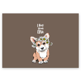 Поздравительная открытка с принтом I need your love в Белгороде, 100% бумага | плотность бумаги 280 г/м2, матовая, на обратной стороне линовка и место для марки
 | Тематика изображения на принте: animal | breed | chamomile | cute | dog | flowers | funny | i need your love | inscription | puppy | welsh corgi pembroke | вельш корги пемброк | животное | забавный | любовь | милый | мне нужна твоя любовь | надпись | порода | ромашки | собака | цв