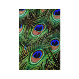 Обложка для паспорта матовая кожа с принтом Перья павлина #1 в Белгороде, натуральная матовая кожа | размер 19,3 х 13,7 см; прозрачные пластиковые крепления | animal | bird | peacock feathers | животные | павлин | перо. | перья | птица