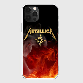 Чехол для iPhone 12 Pro Max с принтом METALLICA в Белгороде, Силикон |  | Тематика изображения на принте: metallica | rock | джеймс хэтфилд | джейсон ньюстед | дэйв мастейн | кирк хэмметт | клифф бёртон | ларс ульрих | металлика | музыка | роберт трухильо | рок