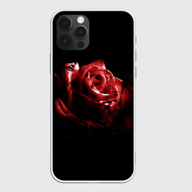 Чехол для iPhone 12 Pro с принтом Кровавая роза в Белгороде, силикон | область печати: задняя сторона чехла, без боковых панелей | брызги | кровавая роза | кровь | роза | цветы