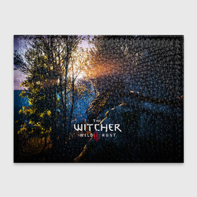 Обложка для студенческого билета с принтом THE WITCHER 3:WILD HUNT в Белгороде, натуральная кожа | Размер: 11*8 см; Печать на всей внешней стороне | cd projekt red | ciri | game | geralt | geralt of rivia | gwynbleidd | the witcher | the witcher 3: wild hunt | ведьмак | ведьмак 3: дикая охота | геральт | геральт из ривии | цири | цирилла