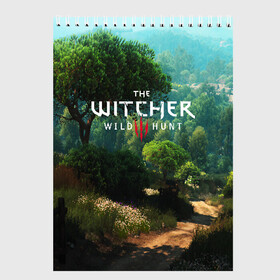 Скетчбук с принтом THE WITCHER 3WILD HUNT в Белгороде, 100% бумага
 | 48 листов, плотность листов — 100 г/м2, плотность картонной обложки — 250 г/м2. Листы скреплены сверху удобной пружинной спиралью | cd projekt red | ciri | game | geralt | geralt of rivia | gwynbleidd | the witcher | the witcher 3: wild hunt | ведьмак | ведьмак 3: дикая охота | геральт | геральт из ривии | цири | цирилла